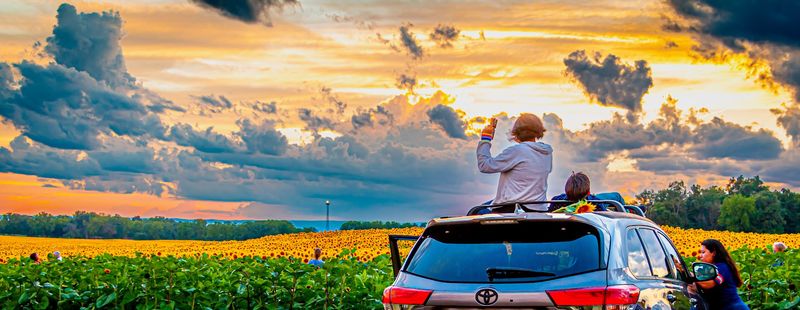 The Farm's Commitment to Community and Open Access