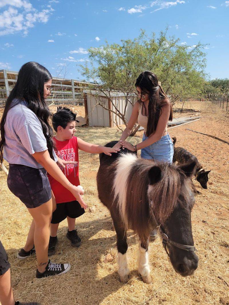 Guided Tours That Feel Personal