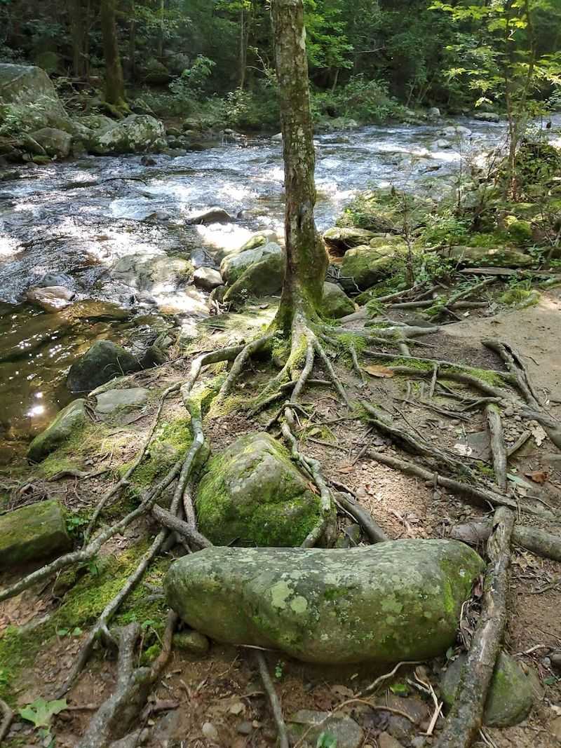 Wildlife and Ecology Hiding Around Every Corner