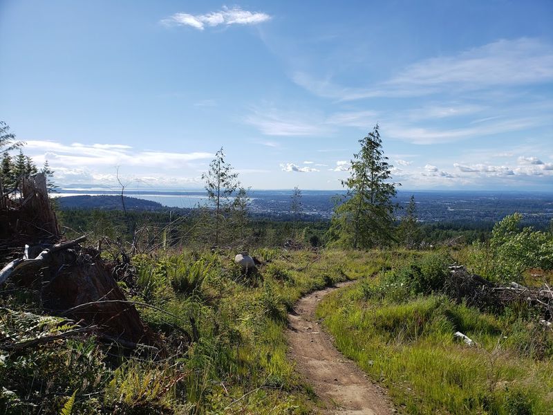 Mountain Biking Galbraith Mountain (Bellingham)