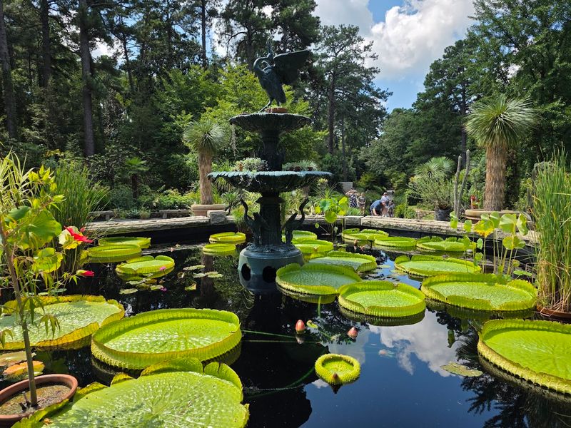 Zen Gravel Courtyard