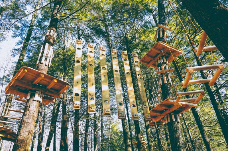 Coaching and Staff Support