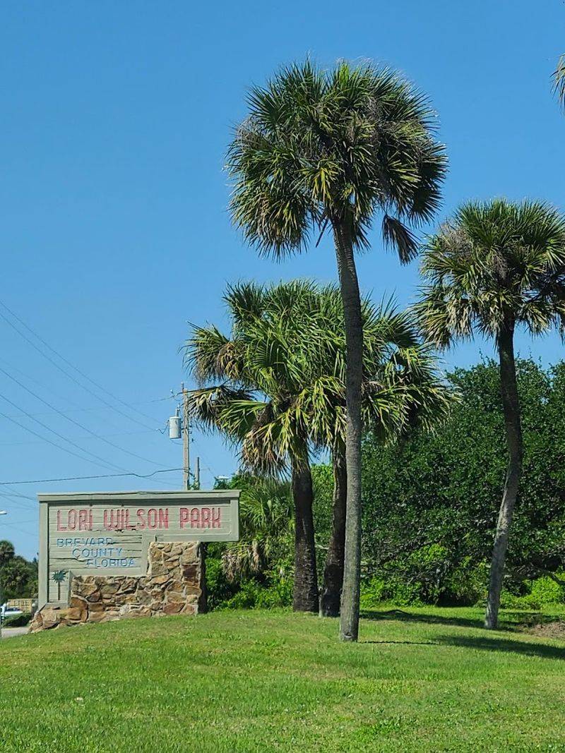 Wildlife Spotting at Lori Wilson Park