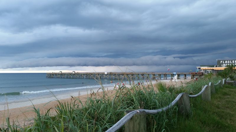 River To Sea Preserve Trails