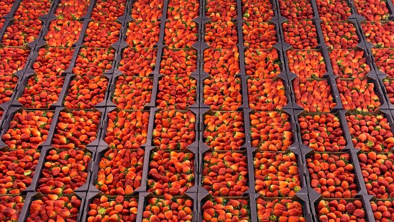 Budget Savvy: Deals and Must-Spend Moments