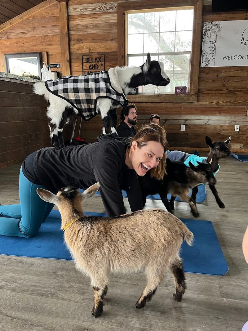 Photo Ops And Staff Assistance