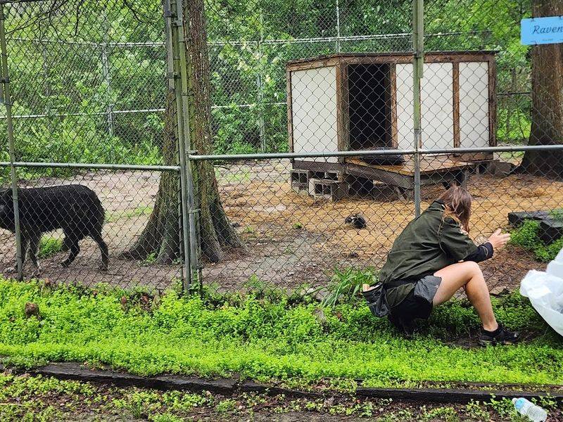 Feeding Time On The Path