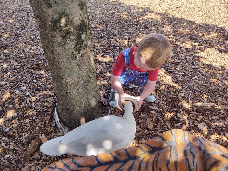 Barnyard Animals and the Petting Area