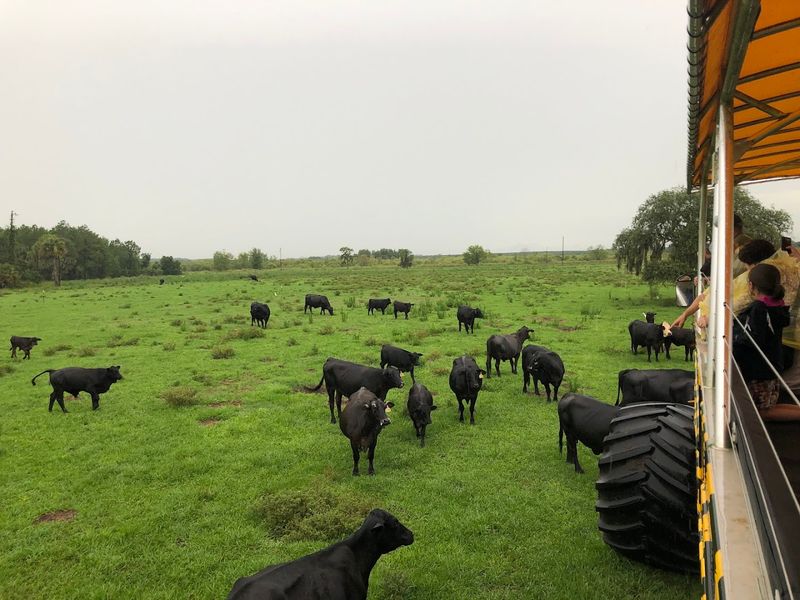 Perfect Half-Day Itinerary