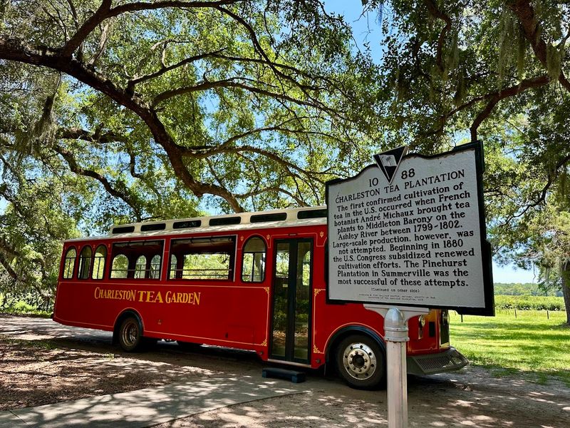 Making It Easy For Families With Kids