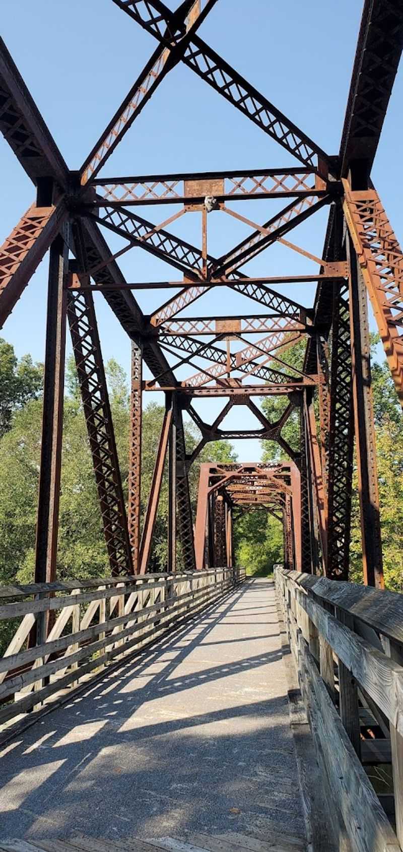 Biking Surface, Tires, and Gear