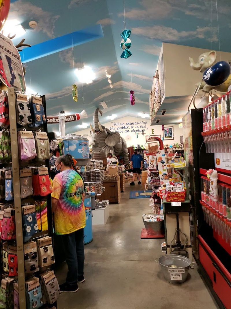 Family-Friendly Moments That Last