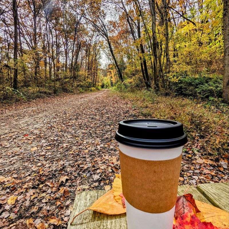 Family-Friendly Riding and Accessibility