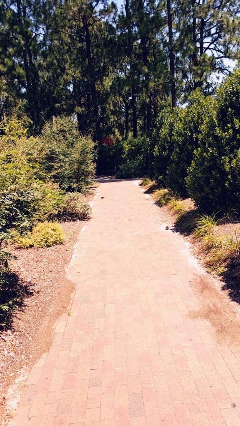 Accessibility and Practical Navigation