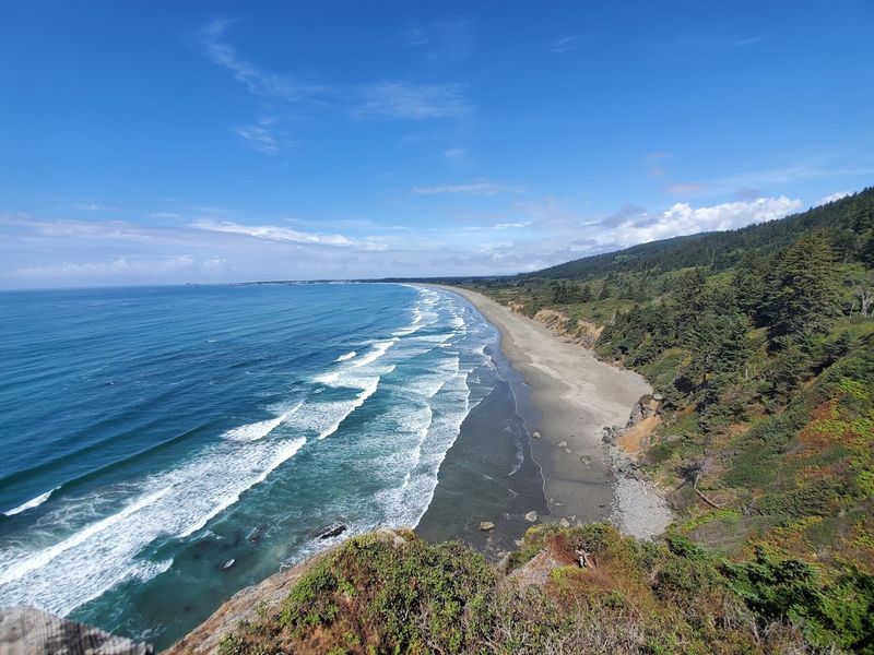 Redwood National and State Parks, California