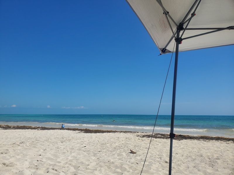 Bahia Honda Sandspur Beach Area (Backcountry Camping Nearby)