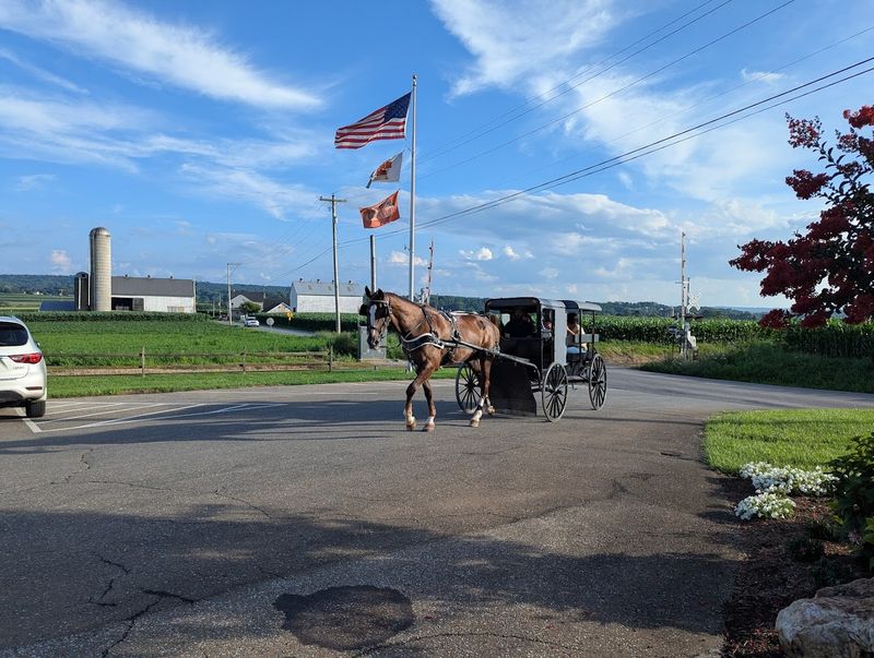 A Buggy Ride Through Working Amish Farmland Changes Your Perspective