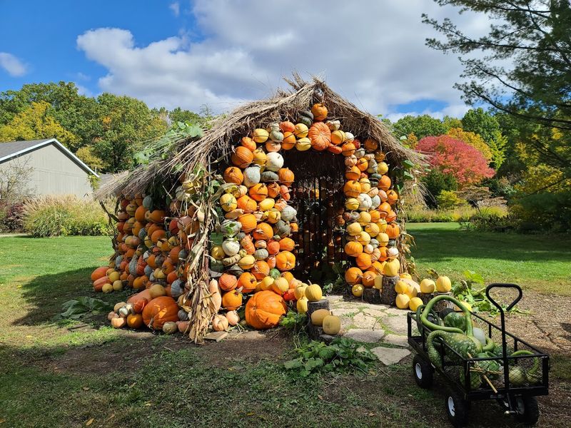 Cafe Stop And Picnic Strategy