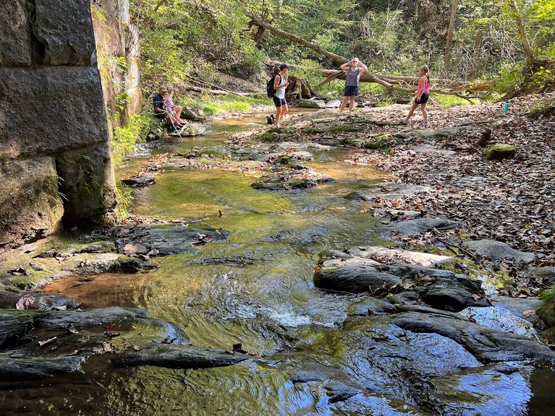 The Creek, the Bridge, and the Best Spots for Kids