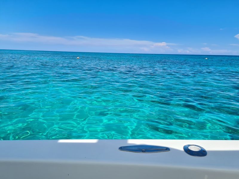 Life and Luxury on the High Seas