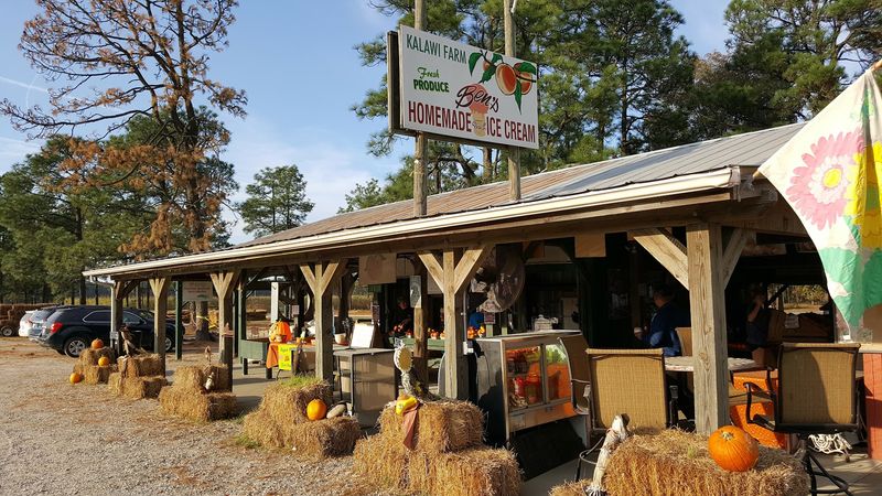 Why Kalawi Farm Is Worth the Drive to Eagle Springs