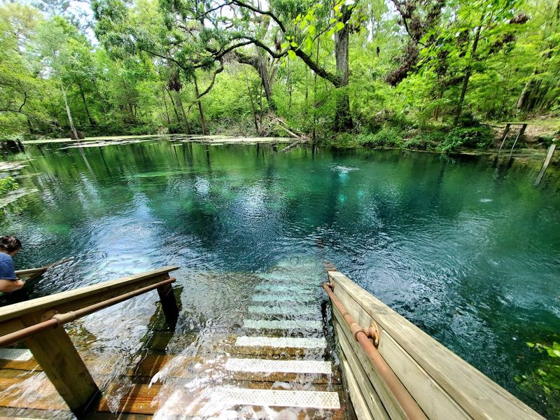 Peacock Springs State Park