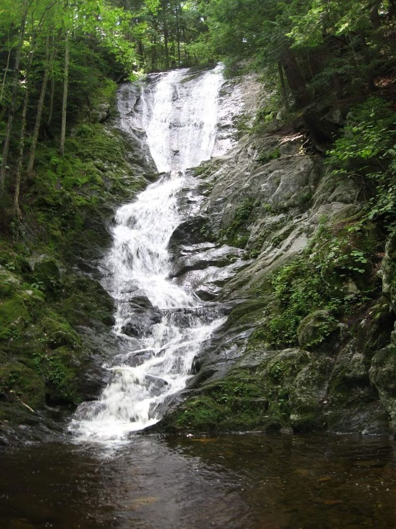 Savoy Mountain State Forest