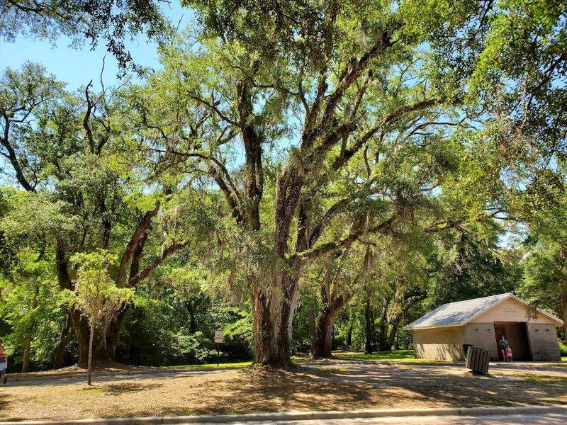 Picnics, Pavilions, and Grills