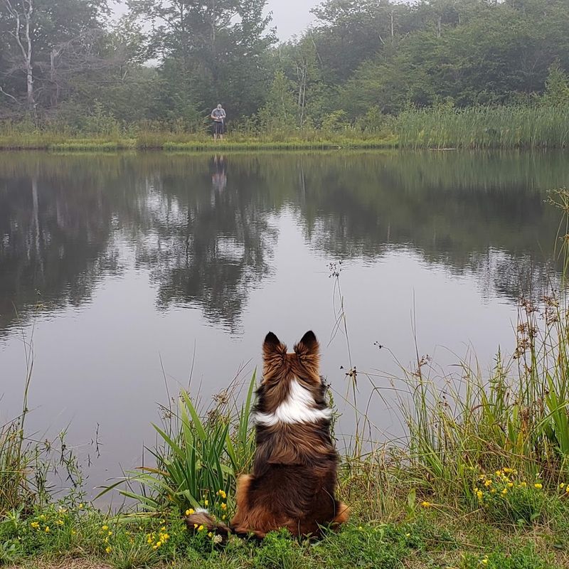 Hunting and Fishing Access