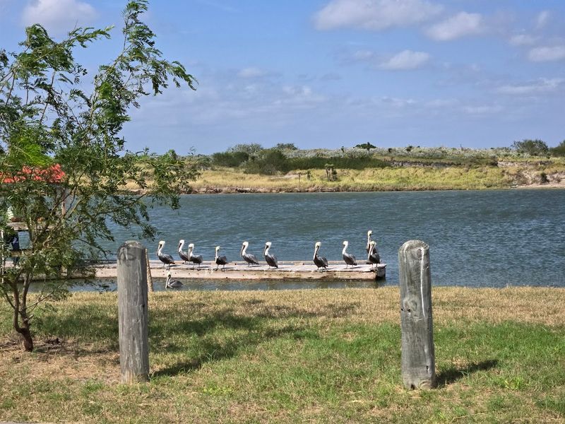 Laguna Atascosa National Wildlife Refuge, Texas