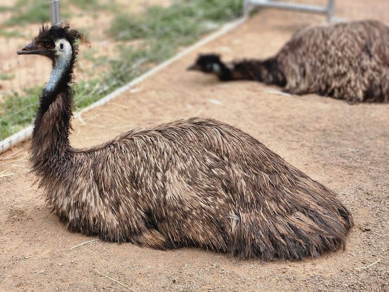 Kid Friendly Game Plan