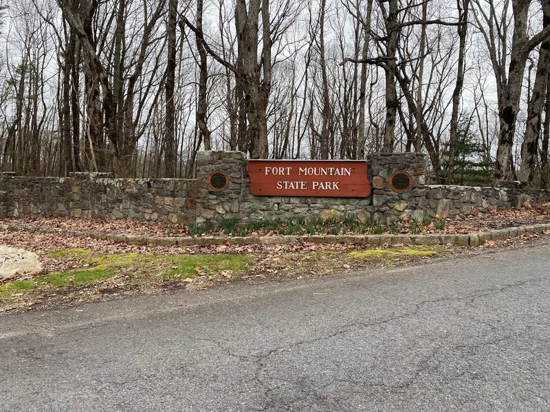 Wildlife and Bear Safety at the Park