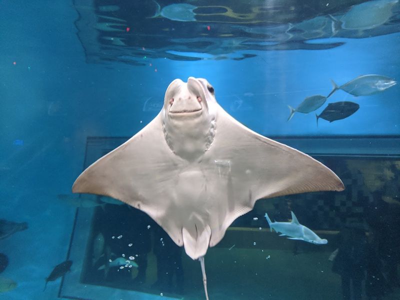 Toledo Zoo & Aquarium - Toledo, OH