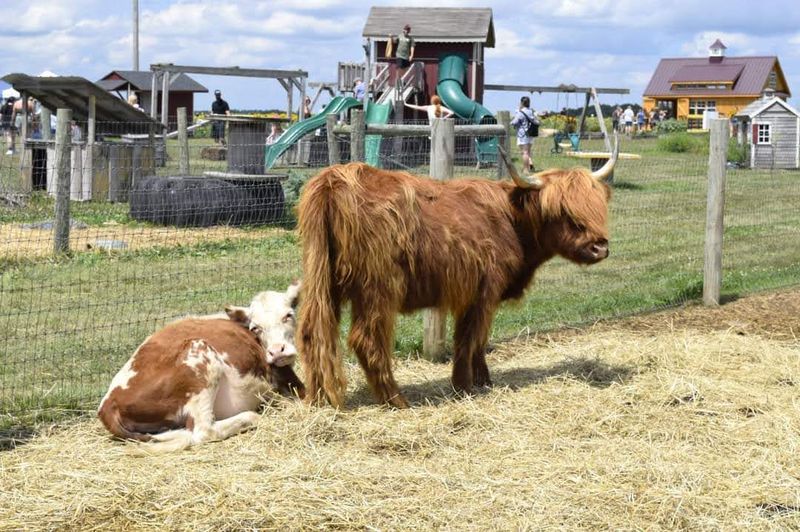 Rich Family Farm History