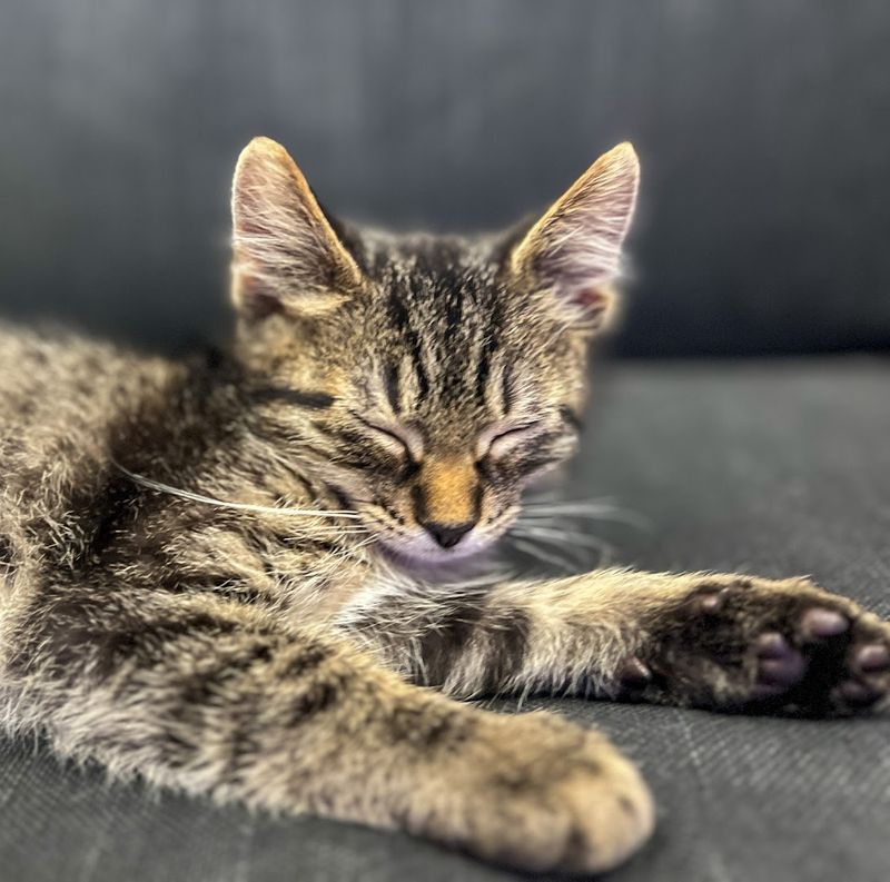 Tips For Kids And First-Timers