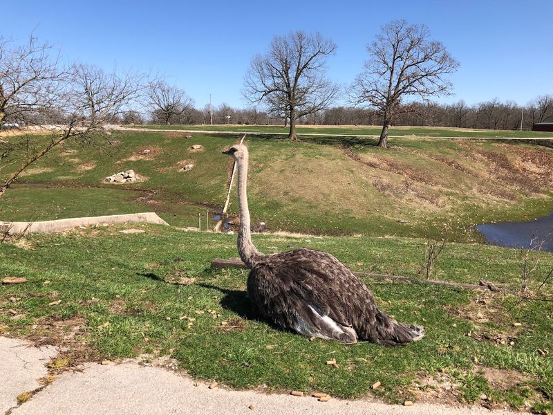 Safety And Courtesy On The 5-Mile Route