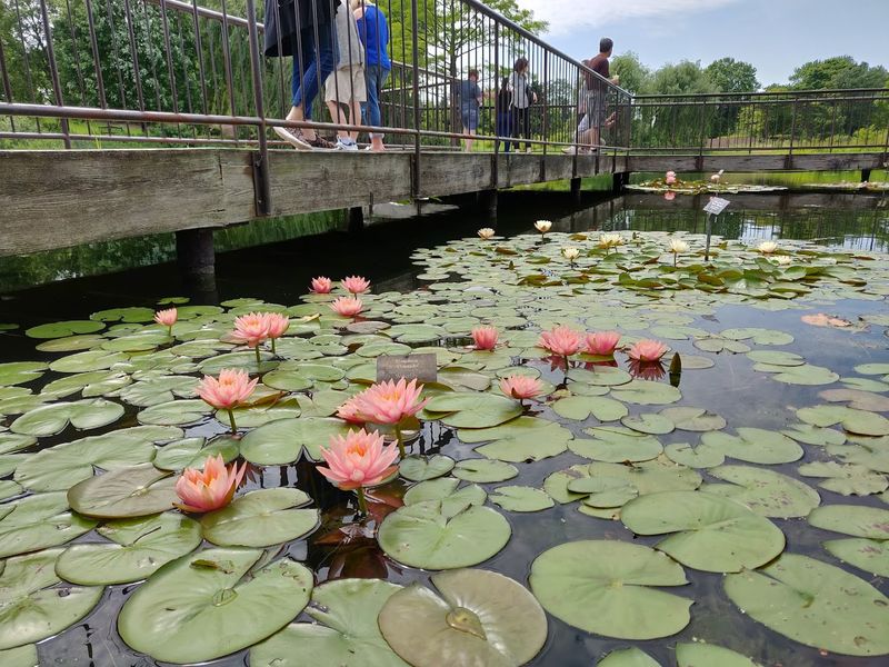 Skokie Lagoons - Lagoon Loop Trail (Cook County)