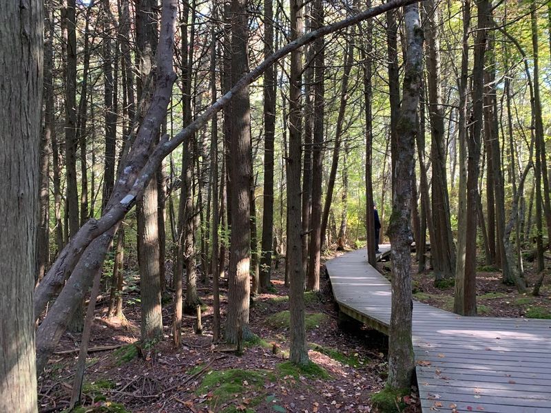 The Seasonal Magic of Visiting in Fall