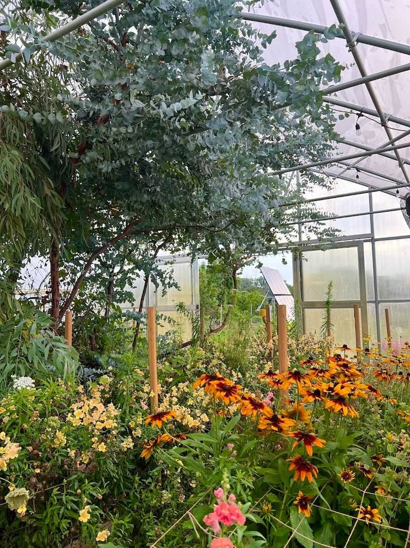 8 AM Morning Cutting: What It Feels Like