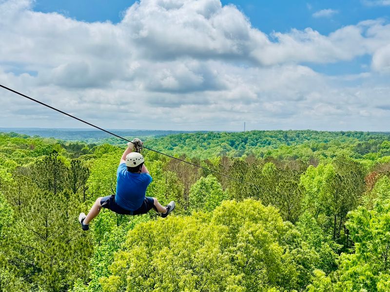 Zip Lines Are Integrated Into the Experience