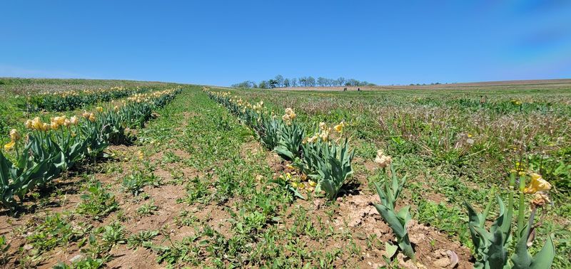 Weather and What to Wear