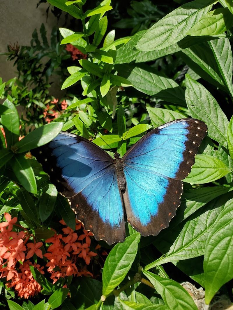 Year-Round Exhibits and Seasonal Highlights