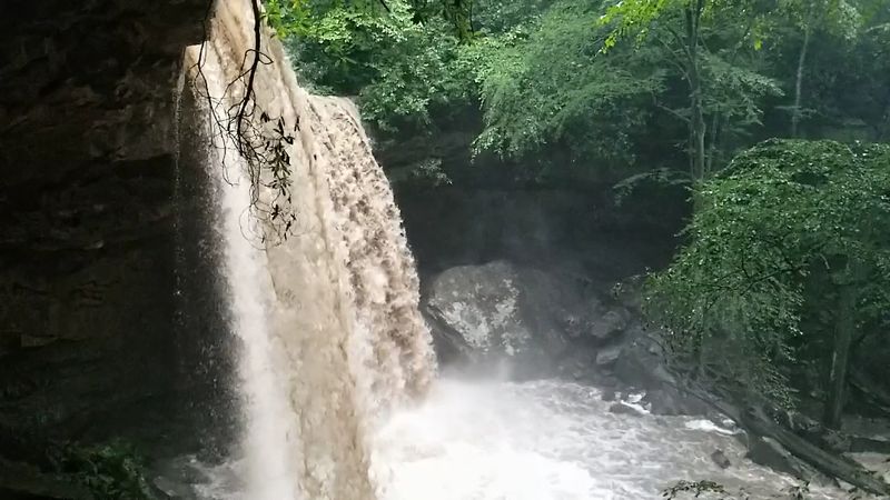 Cucumber Falls - Ohiopyle State Park, Fayette County