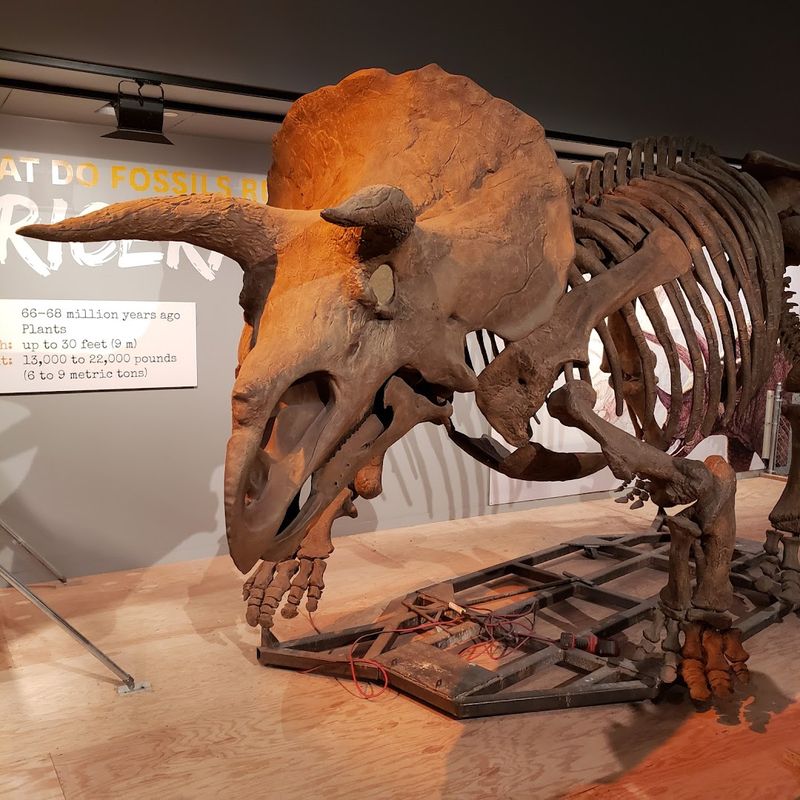 National Museum of Natural History - Washington, DC