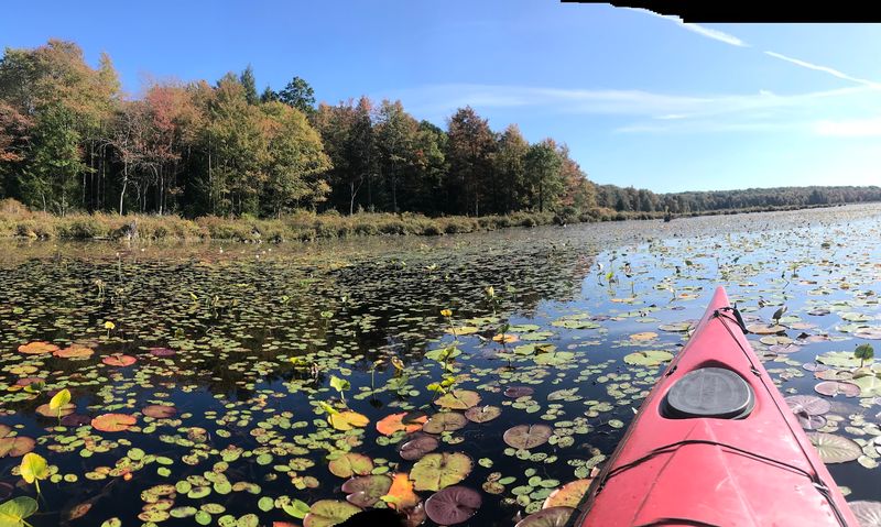 Kayaking and Canoeing on the Lake