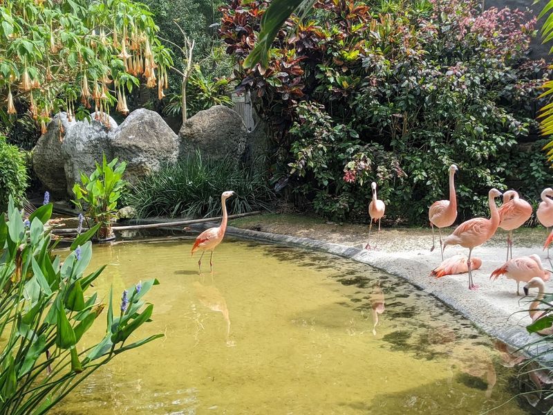 Wedding Lawn and Event Spaces