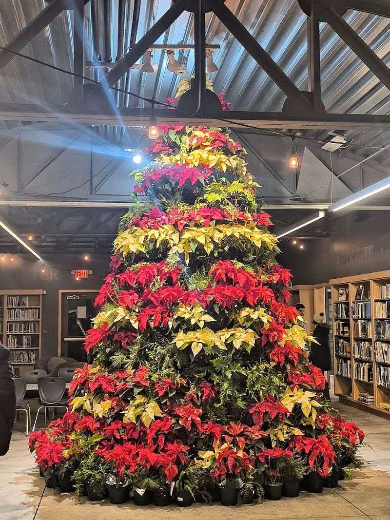 Events, Classes, And Kids Programs