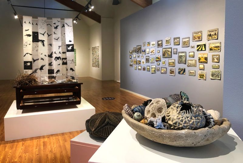 California Nature Art Museum