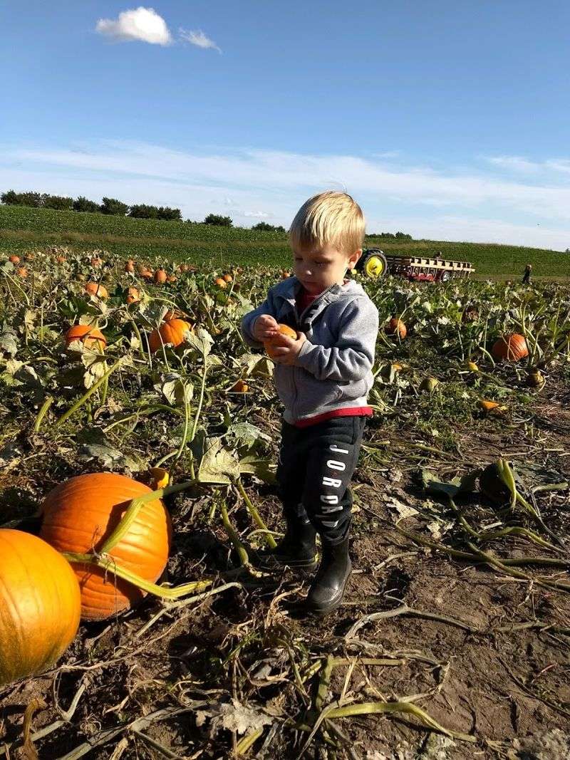 Farm Market & Orchard Produce