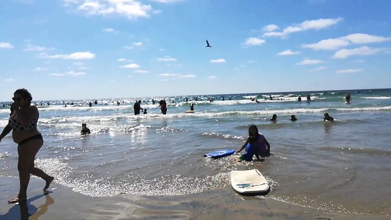 Snorkel La Jolla’s Underwater Park